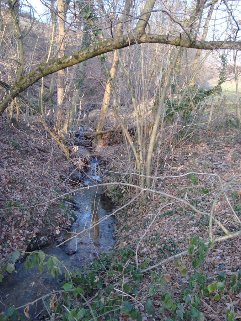 Chateauvieux, 04-01-09, 10-38.jpg